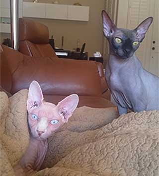 Maakah Mai and Moonpie