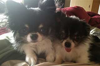 Milo Angel and Mia Gump